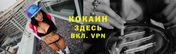 мяу мяу мука Ахтубинск