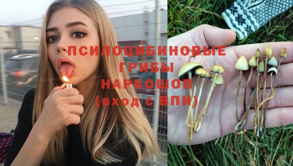гидропоника Надым