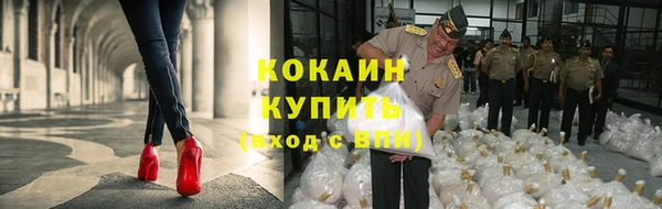 мяу мяу мука Ахтубинск