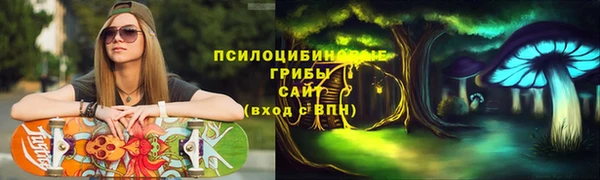 индика Навашино
