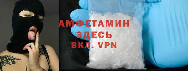 стаф Нефтегорск