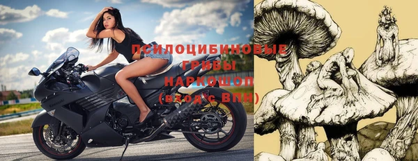 прущая мука Новодвинск