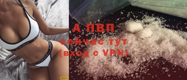 гашик Нея