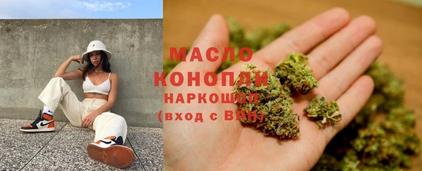 дживик Новозыбков