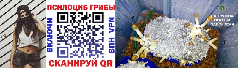 Галлюциногенные грибы Cubensis Кандалакша