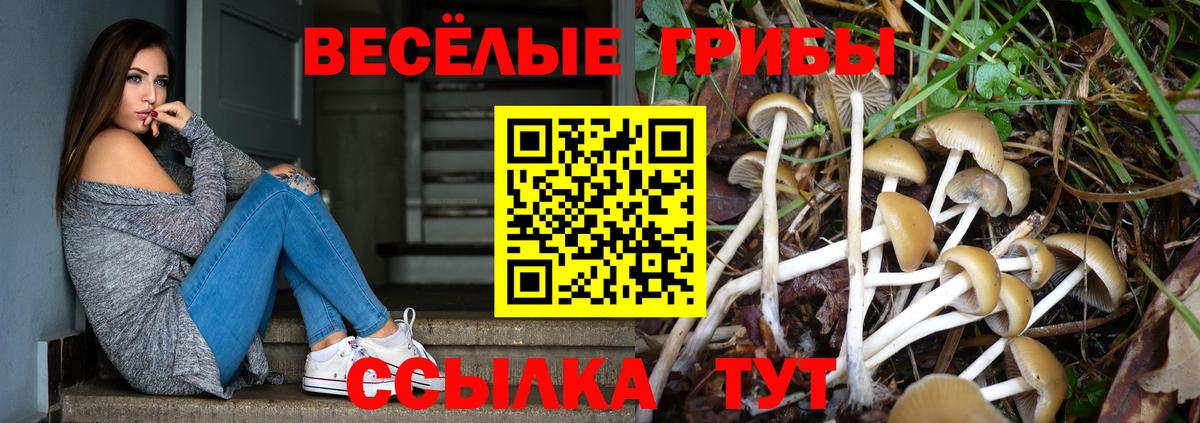 Псилоцибиновые грибы Magic Shrooms Кандалакша