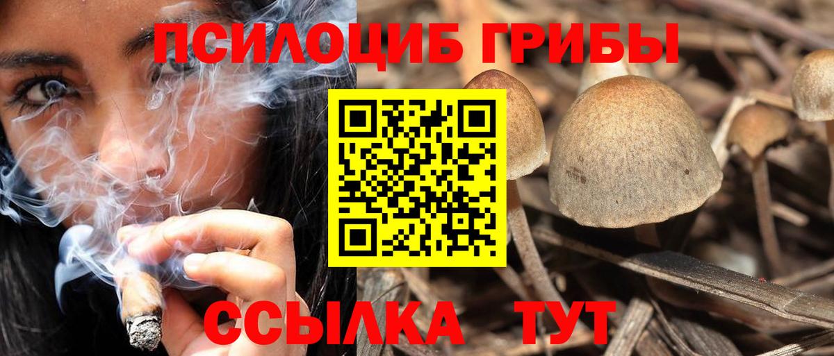 Псилоцибиновые грибы прущие грибы  Псилоцибиновые грибы ЛСД  Кандалакша  Вход с VPN 